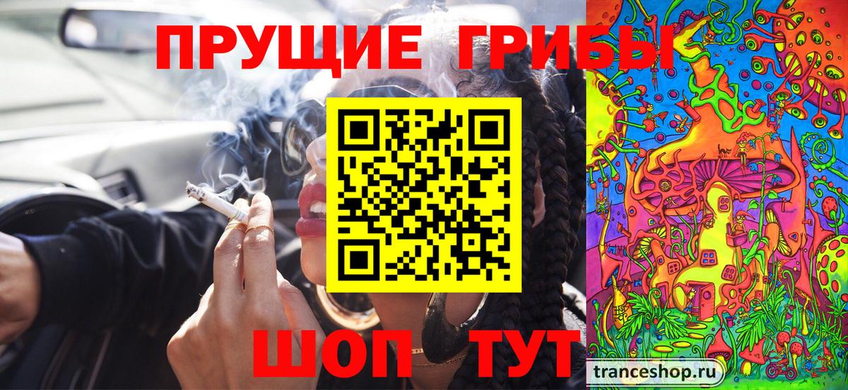 Сафоново  Псилоцибиновые грибы Magic Shrooms  Вход с VPN  как найти наркотики  Галлюциногенные грибы Cubensis 